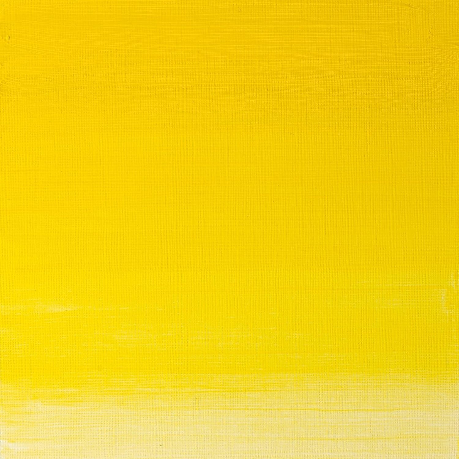 image:imageWinsor amp Newton Artists Oil Paint 37ml Tube Burnt SiennaWinsor Yellow