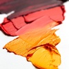 Winsor & Newton Artists’ Oil Paint, 37ml Tube, Burnt Sienna(Bismuth Yellow)