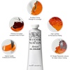 Winsor & Newton Artists’ Oil Paint, 37ml Tube, Burnt Sienna(Brown Ochre)