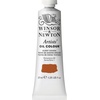 Winsor & Newton Artists’ Oil Paint, 37ml Tube, Burnt Sienna(Burnt Sienna)