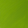 Winsor & Newton Artists’ Oil Paint, 37ml Tube, Burnt Sienna(Cadmium Green Pale)