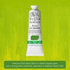 Winsor & Newton Artists’ Oil Paint, 37ml Tube, Burnt Sienna(Cadmium-free Green Pale)