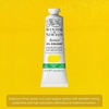 Winsor & Newton Artists’ Oil Paint, 37ml Tube, Burnt Sienna(Cadmium-free Lemon)