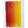 Winsor & Newton Artists’ Oil Paint, 37ml Tube, Burnt Sienna(Cadmium-free Orange)