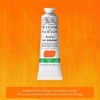 Winsor & Newton Artists’ Oil Paint, 37ml Tube, Burnt Sienna(Cadmium-free Orange)