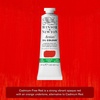 Winsor & Newton Artists’ Oil Paint, 37ml Tube, Burnt Sienna(Cadmium-free Red)