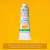 Winsor & Newton Artists’ Oil Paint, 37ml Tube, Burnt Sienna(Cadmium-free Yellow)
