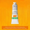Winsor & Newton Artists’ Oil Paint, 37ml Tube, Burnt Sienna(Cadmium-free Yellow Deep)