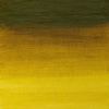 Winsor & Newton Artists’ Oil Paint, 37ml Tube, Burnt Sienna(Green Gold)