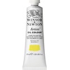 Winsor & Newton Artists’ Oil Paint, 37ml Tube, Burnt Sienna(Lemon Yellow Hue)