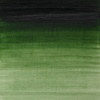 Winsor & Newton Artists’ Oil Paint, 37ml Tube, Burnt Sienna(Prussian Green)