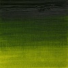 Winsor & Newton Artists’ Oil Paint, 37ml Tube, Burnt Sienna(Sap Green)