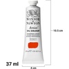Winsor & Newton Artists’ Oil Paint, 37ml Tube, Burnt Sienna(Transparent Orange)