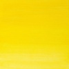 Winsor & Newton Artists’ Oil Paint, 37ml Tube, Burnt Sienna(Winsor Lemon)
