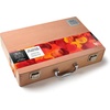 Winsor & Newton Artists’ Oil Paint, 37ml Tube, Burnt Sienna(Wooden Briefcase)