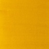 Winsor & Newton Artists’ Oil Paint, 37ml Tube, Burnt Sienna(Yellow Ochre Light)