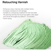 Winsor & Newton Professional Artists’ Gloss Varnish, 250ml Bottle(Retouching Varnish)