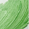 Winsor & Newton Professional Artists’ Gloss Varnish, 250ml Bottle(Satin Picture Varnish)