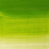 Winsor & Newton Winton Oil Color, 200ml Tube, Titanium White(Chrom Grün Farbton)