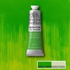 Winsor & Newton Winton Oil Color, 200ml Tube, Titanium White(Phthalo Yellow Green)