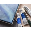 Winsor & Newton Winton Oil Color, 200ml Tube, Titanium White(Sap Green)