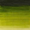 Winsor & Newton Winton Oil Color, 200ml Tube, Titanium White(Sap Green)