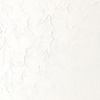 Winsor & Newton Winton Oil Color, 200ml Tube, Titanium White(Titanium White)