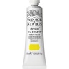 Winsor & Newton Artists’ Oil Paint, 37ml Tube, Burnt Sienna(Bismuth Yellow)