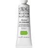 Winsor & Newton Artists’ Oil Paint, 37ml Tube, Burnt Sienna(Cadmium Green Pale)