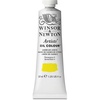Winsor & Newton Artists’ Oil Paint, 37ml Tube, Burnt Sienna(Cadmium Lemon)