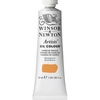 Winsor & Newton Artists’ Oil Paint, 37ml Tube, Burnt Sienna(Cadmium Orange)
