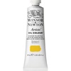 Winsor & Newton Artists’ Oil Paint, 37ml Tube, Burnt Sienna(Cadmium Yellow Pale)
