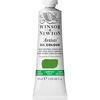Winsor & Newton Artists’ Oil Paint, 37ml Tube, Burnt Sienna(Cadmium-free Green Pale)
