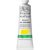 Winsor & Newton Artists’ Oil Paint, 37ml Tube, Burnt Sienna(Cadmium-free Lemon)