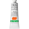 Winsor & Newton Artists’ Oil Paint, 37ml Tube, Burnt Sienna(Cadmium-free Orange)