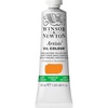 Winsor & Newton Artists’ Oil Paint, 37ml Tube, Burnt Sienna(Cadmium-free Yellow Deep)