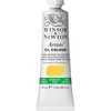 Winsor & Newton Artists’ Oil Paint, 37ml Tube, Burnt Sienna(Cadmium-free Yellow Pale)