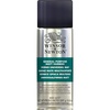 Winsor & Newton Professional Artists’ Gloss Varnish, 250ml Bottle(All Purpose Varnish  Matt)